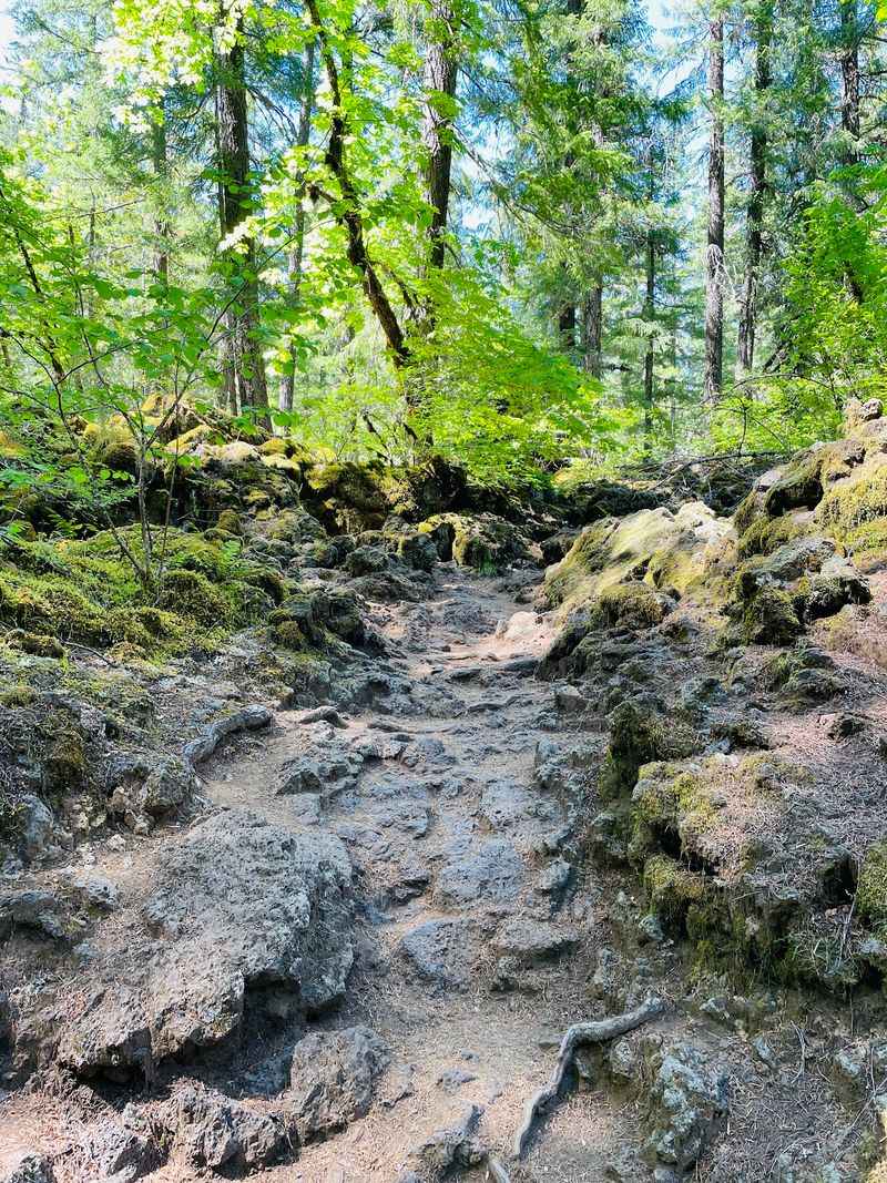 The Lava Rock Landscape and What It Tells You About Oregon The Lava Rock Landscape and What It Tells You About Oregon
