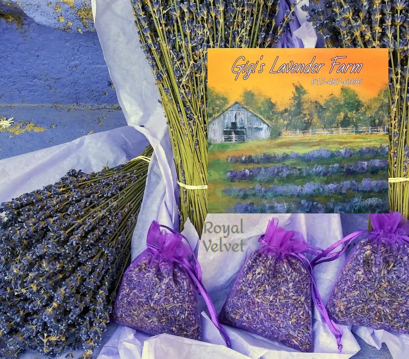 The Lavender Love Unicorns The Lavender Love Unicorns