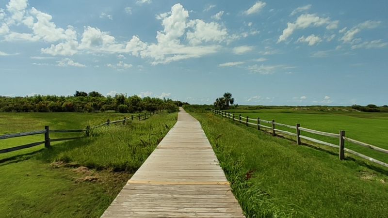The Long, Serene Walk to the Water The Long, Serene Walk to the Water
