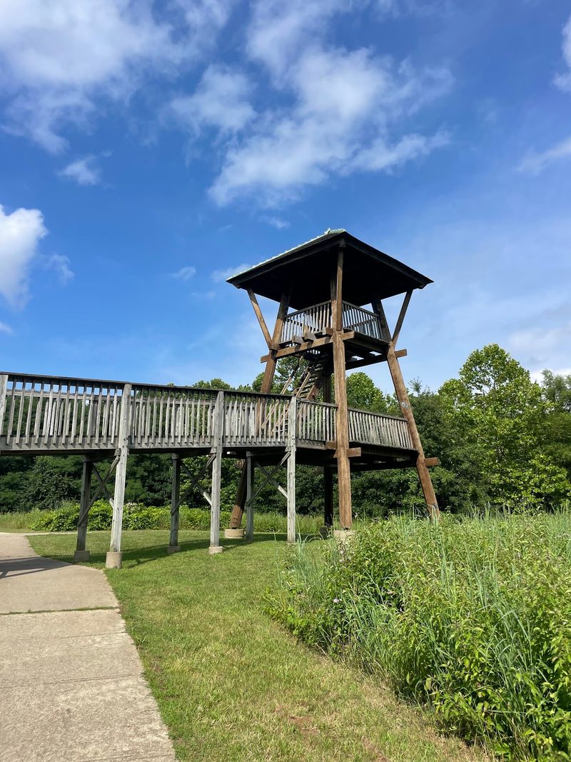 The Lookout Tower and the View From Above The Lookout Tower and the View From Above