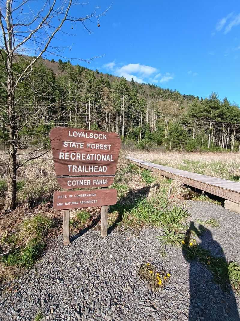 The Loyalsock Trail and Its 59-Mile Challenge The Loyalsock Trail and Its 59-Mile Challenge