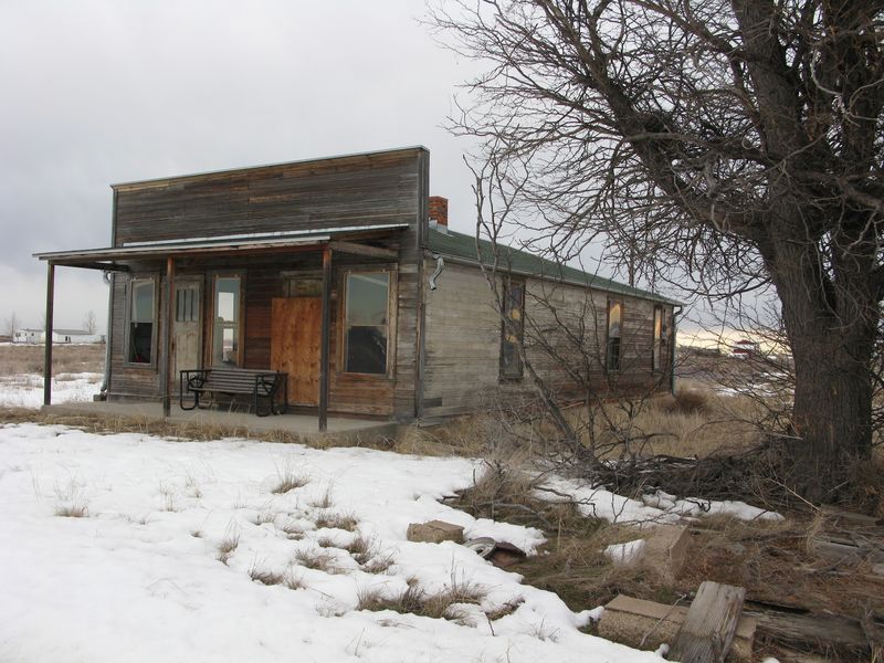 The Lunch Counter That Became a Community Hub The Lunch Counter That Became a Community Hub