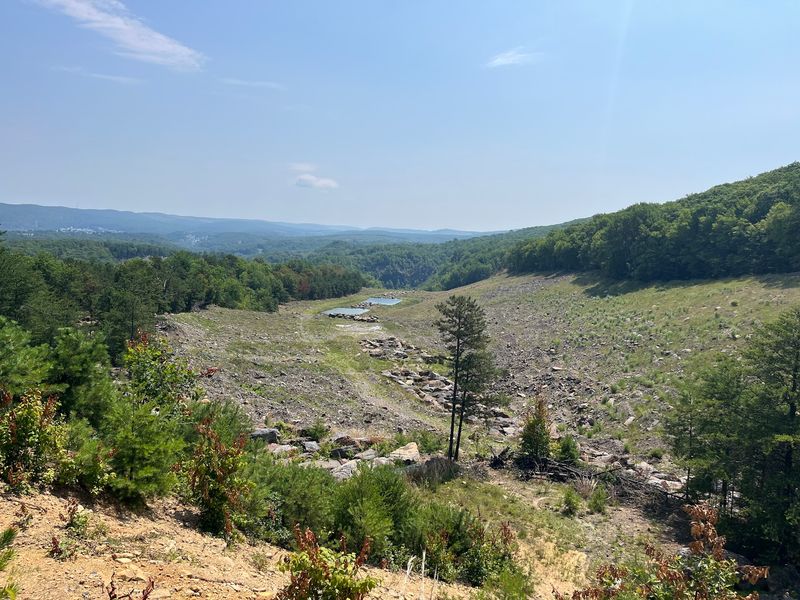 The Mammoth: A Reclamation Project That Became a Legend