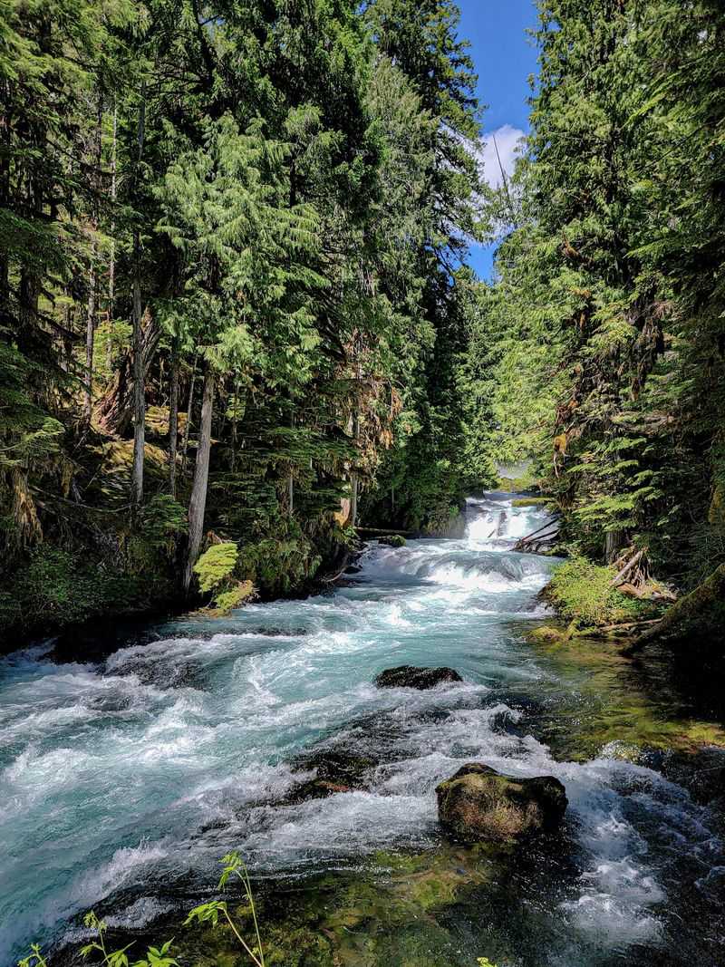 The McKenzie River Trail Connection