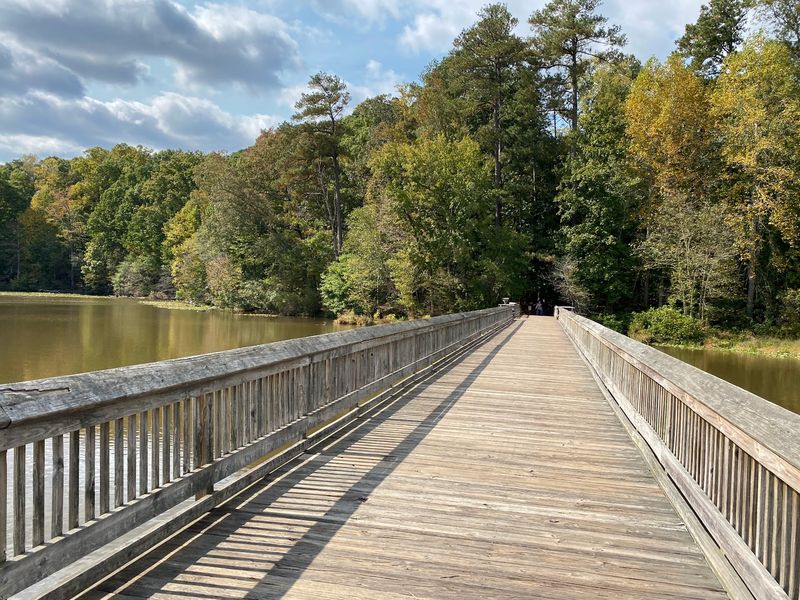 The Millpond Loop Where Turtles Rule