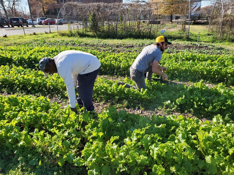 The Mission That Keeps the Soil Alive
