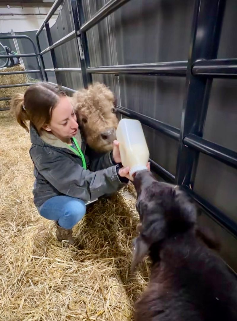 The Mobile Petting Zoo That Travels to You The Mobile Petting Zoo That Travels to You