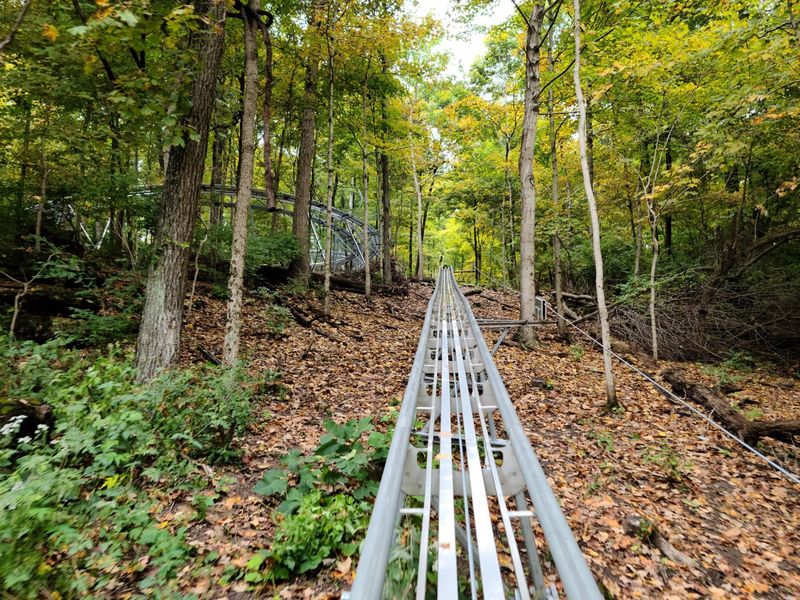 The Mountain Coaster Is the Undisputed Crowd Favorite