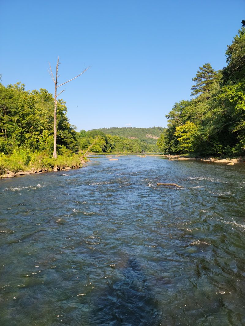 The Mountain Fork River Running Through the Heart of the Park
