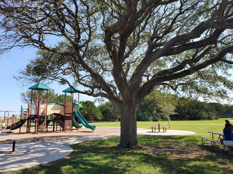 The Nature Center, Playground, and Family Fun