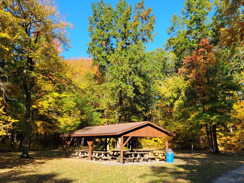 The Nature Center and Family Fun