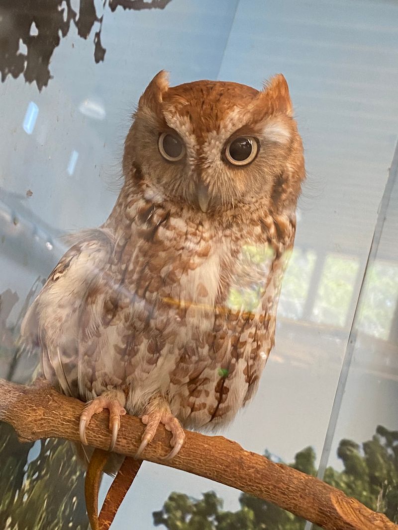 The Nature Center and Its Indoor Exhibits The Nature Center and Its Indoor Exhibits