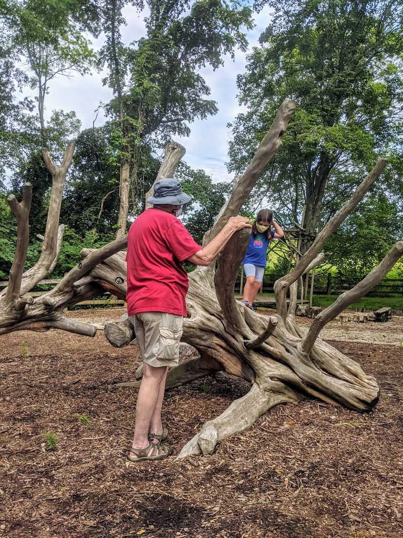 The Nature Explore Classroom Gives Kids a Genuinely Wild Playground The Nature Explore Classroom Gives Kids a Genuinely Wild Playground