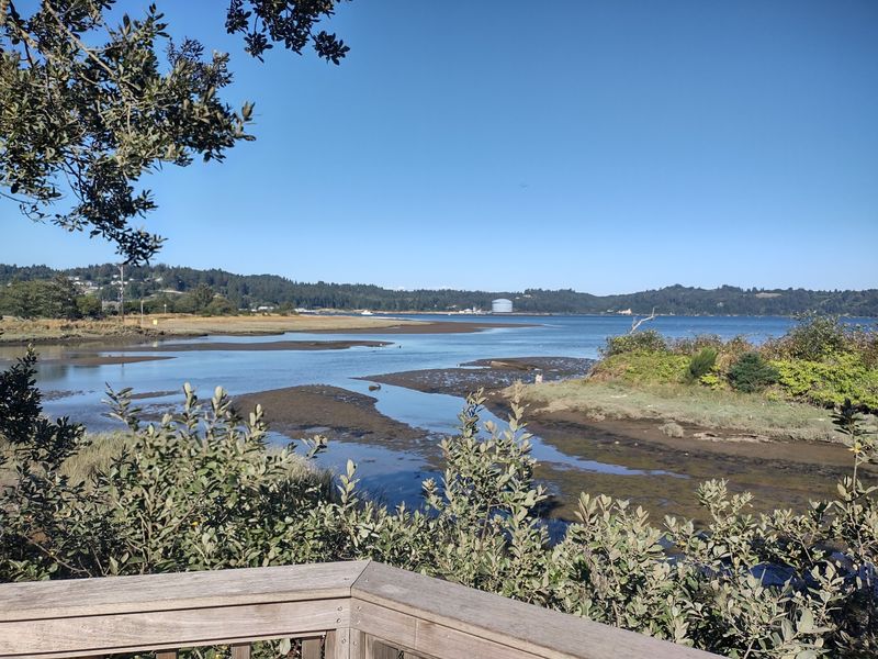 The Nature Walk and Surrounding Bay: More Than Just the Aquarium The Nature Walk and Surrounding Bay: More Than Just the Aquarium