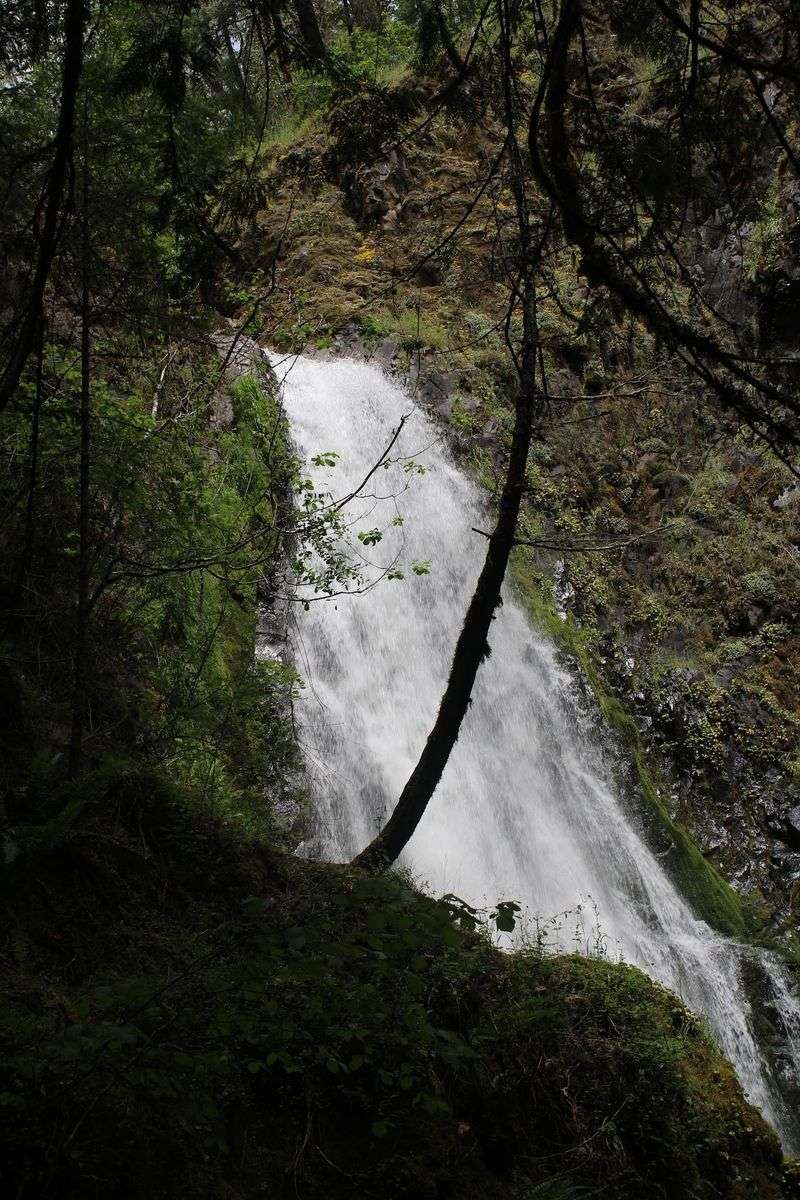 The North Umpqua Highway: A Waterfall Road Worth Exploring