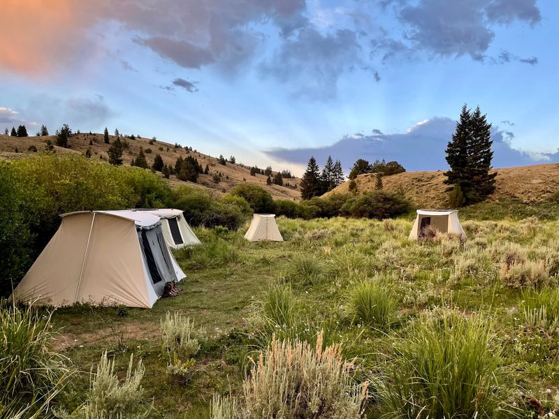 The Off-Grid Life: What Happens When the Signal Disappears The Off-Grid Life: What Happens When the Signal Disappears