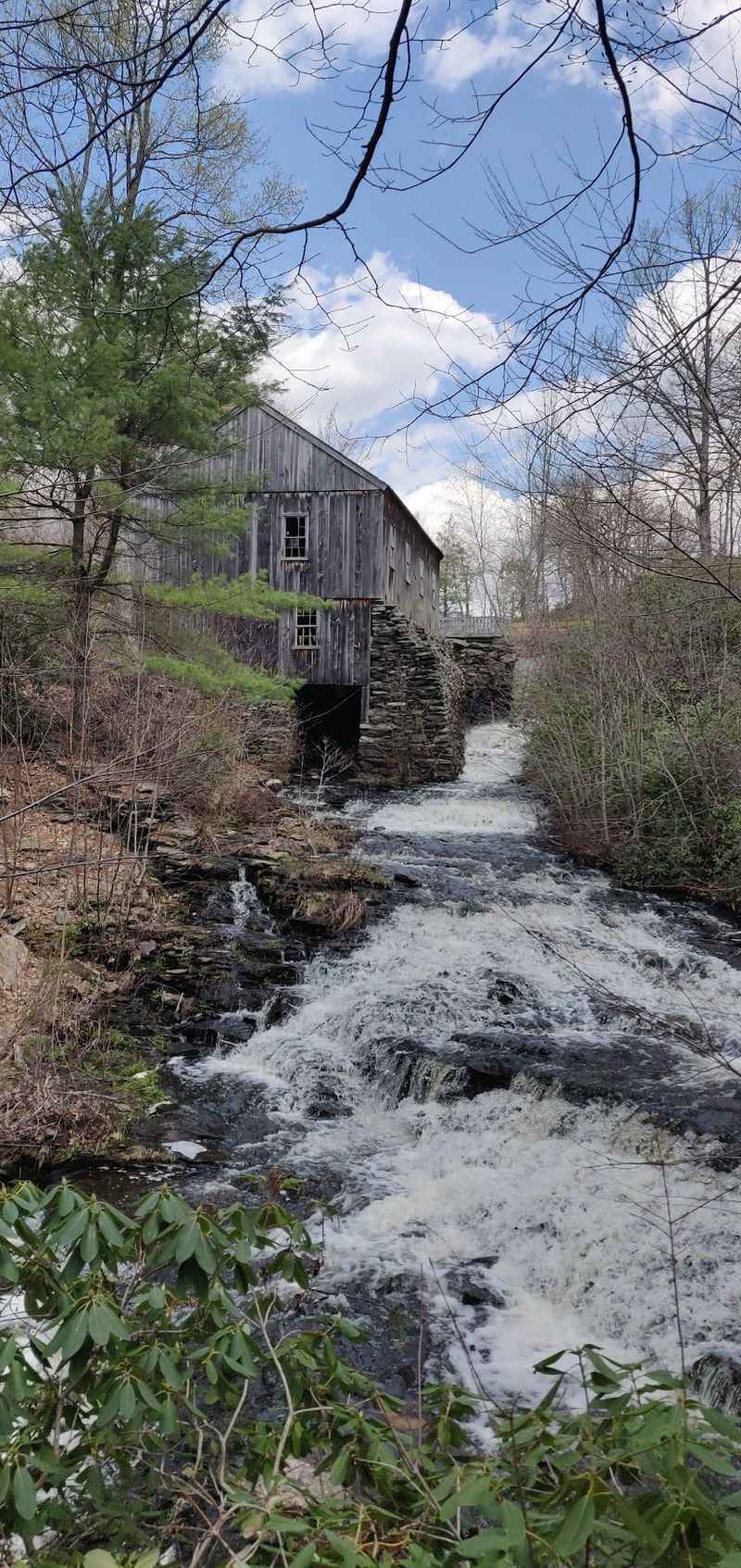 The Old Sawmill and Its Lingering History The Old Sawmill and Its Lingering History