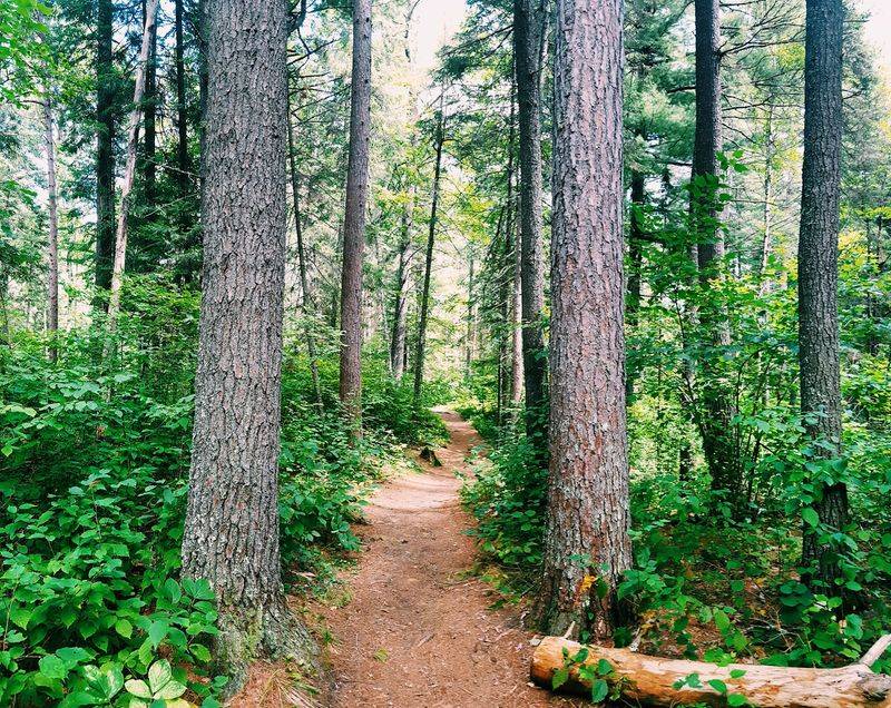 The One-Mile Trail That Covers Centuries of History The One-Mile Trail That Covers Centuries of History
