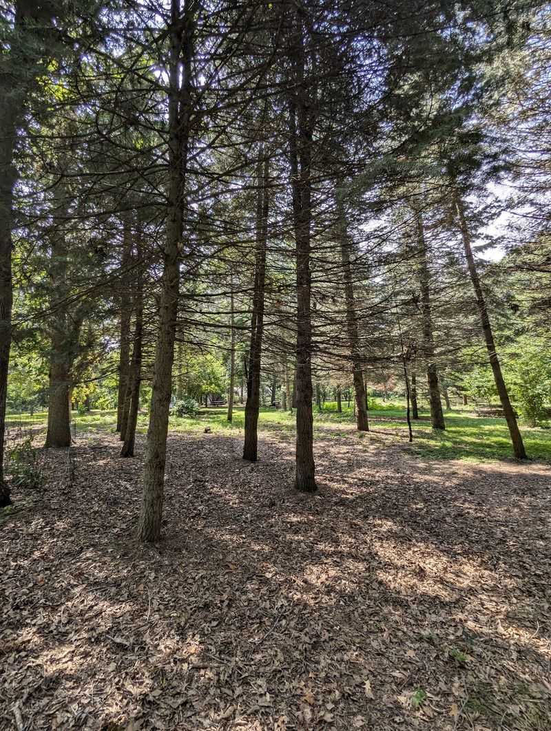 The Origins of Prairie Pines Nature Preserve The Origins of Prairie Pines Nature Preserve