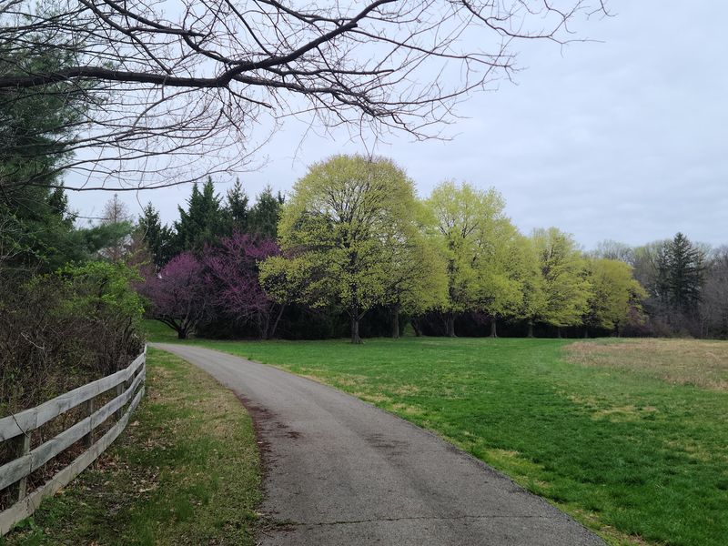 The Oval Track: Where Racehorses Once Ran, Joggers Now Thrive The Oval Track: Where Racehorses Once Ran, Joggers Now Thrive