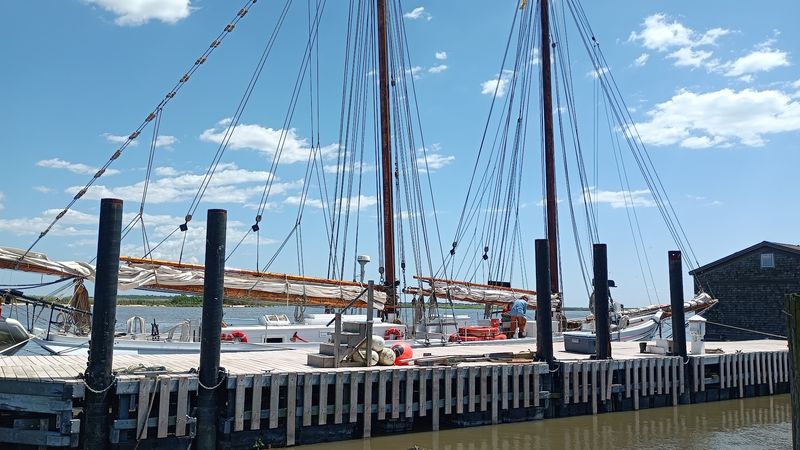 The Oyster Industry Chapter New Jersey Should Not Skip The Oyster Industry Chapter New Jersey Should Not Skip