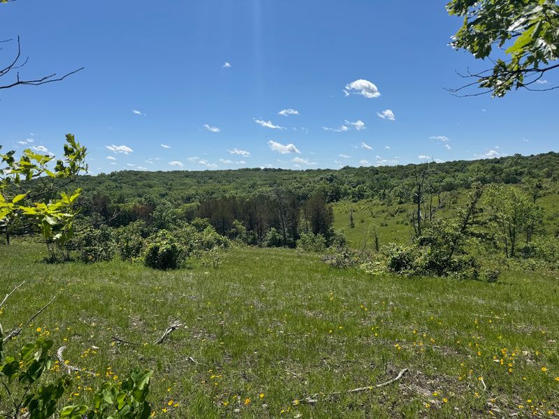 The Ozark Corridor Setting That Makes This Place Ecologically Unique The Ozark Corridor Setting That Makes This Place Ecologically Unique