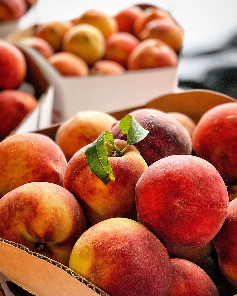 The Peaches That People Drive Miles to Taste