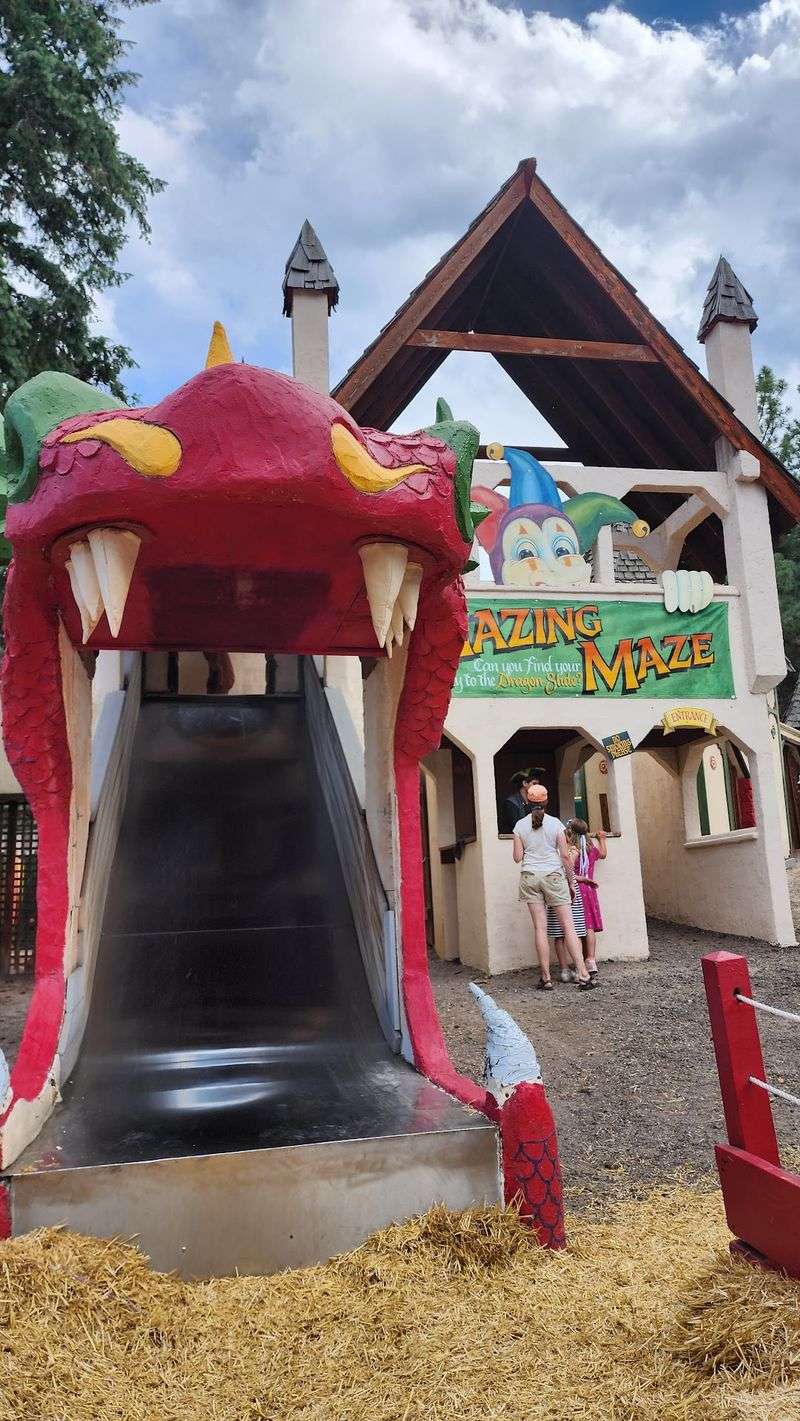 The Petting Zoo and Kids Zone The Petting Zoo and Kids Zone