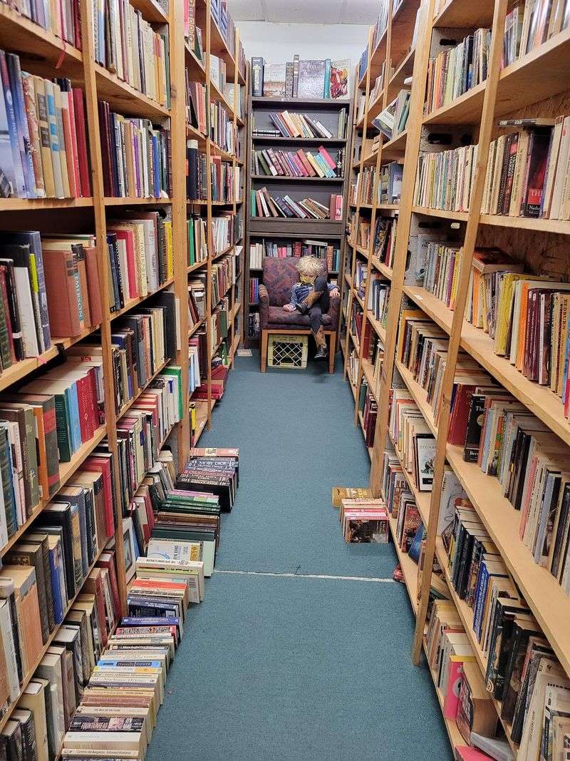 The Physical Layout and Its Towering Shelves The Physical Layout and Its Towering Shelves