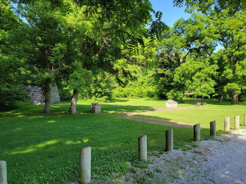 The Picnic Area: Lunch With a Side of Forest Quiet The Picnic Area: Lunch With a Side of Forest Quiet