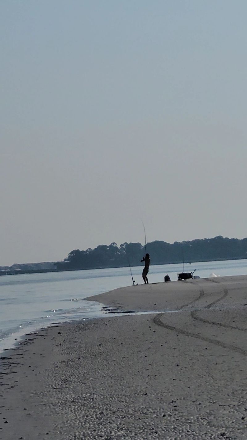 The Pier And Its Fishing Scene The Pier And Its Fishing Scene
