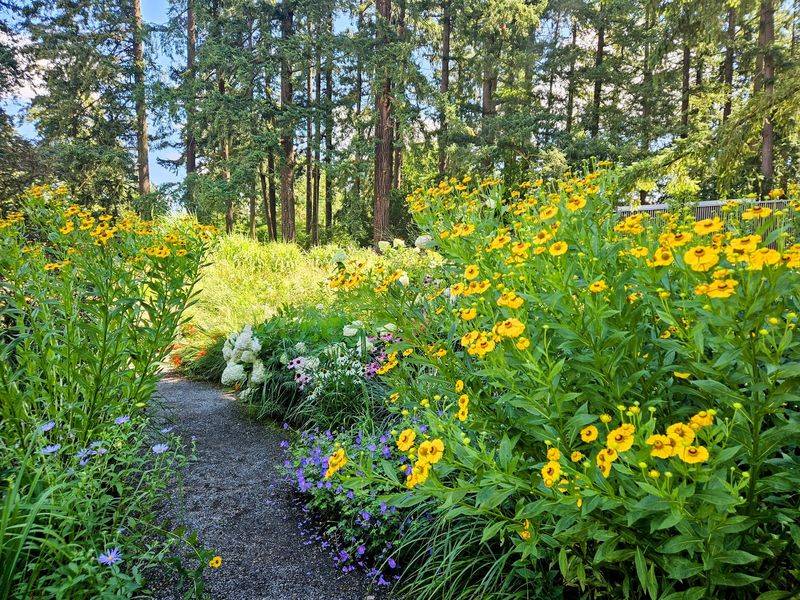 The Pollinator Garden and Native Plant Focus The Pollinator Garden and Native Plant Focus