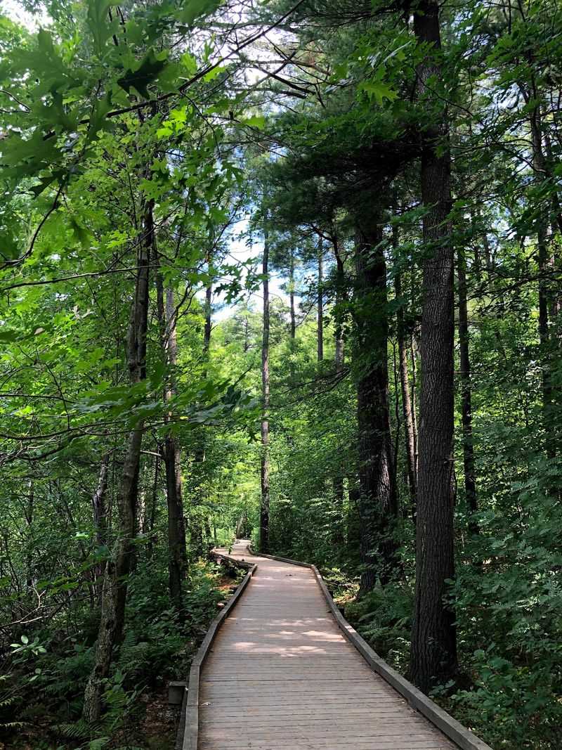 The Pond Loop Trail That Everyone Keeps Coming Back To The Pond Loop Trail That Everyone Keeps Coming Back To