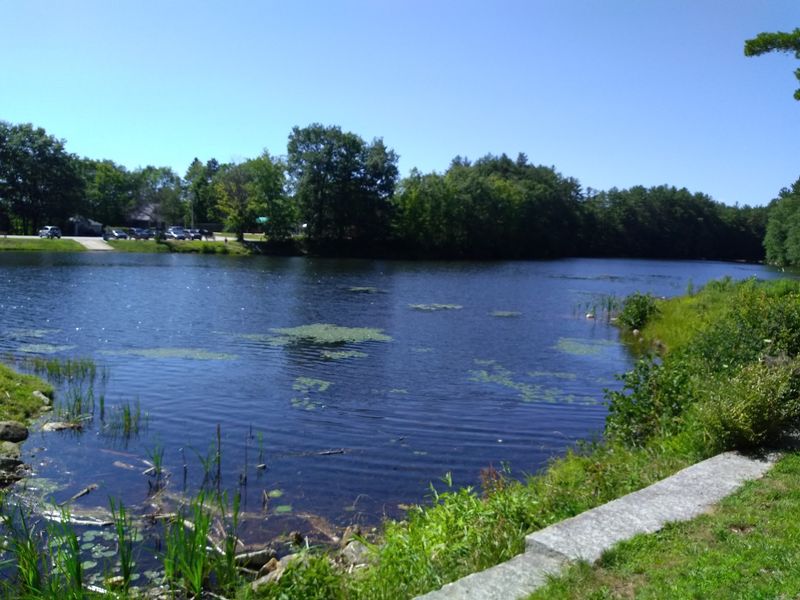 The Pond at the Center of Everything