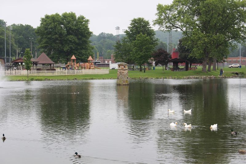 The Pond, the Ducks, and a Quieter Side of the Park The Pond, the Ducks, and a Quieter Side of the Park