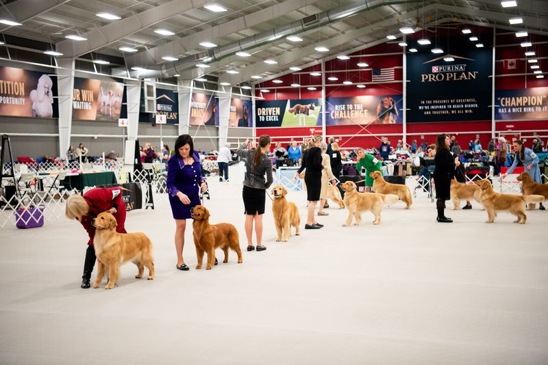 The Purina Event Center: Where Champions Are Crowned