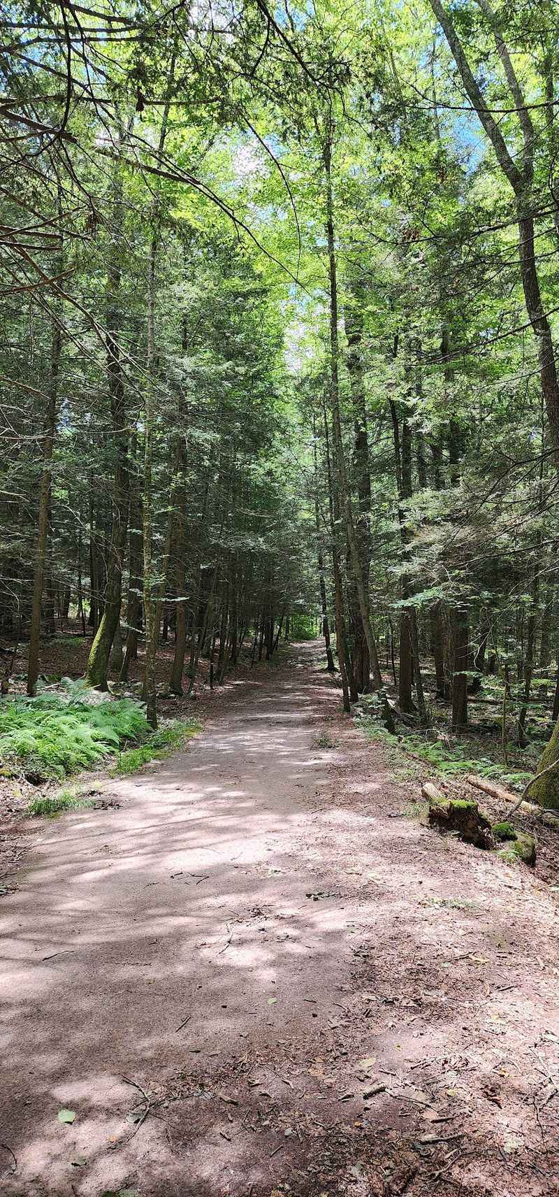 The Quiet Monday Kind Of Escape The Quiet Monday Kind Of Escape