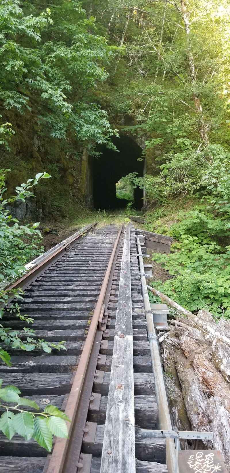 The Railroad That History Almost Forgot The Railroad That History Almost Forgot