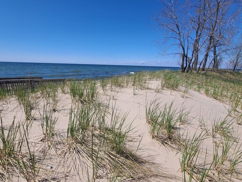 The Rare Freshwater Dunes You Cannot Climb The Rare Freshwater Dunes You Cannot Climb
