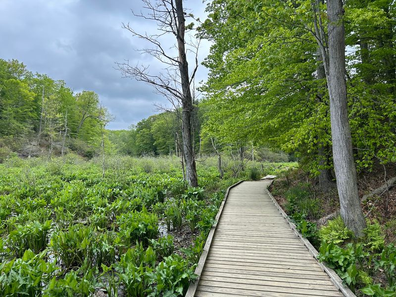 The Red Trail Down to the Water