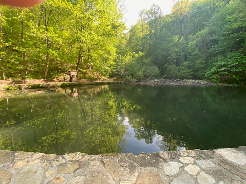 The Reflection Pool at the Bottom