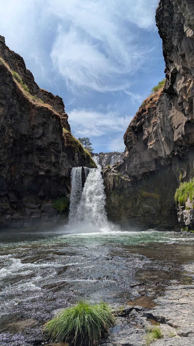 The Refreshing Swimming Hole