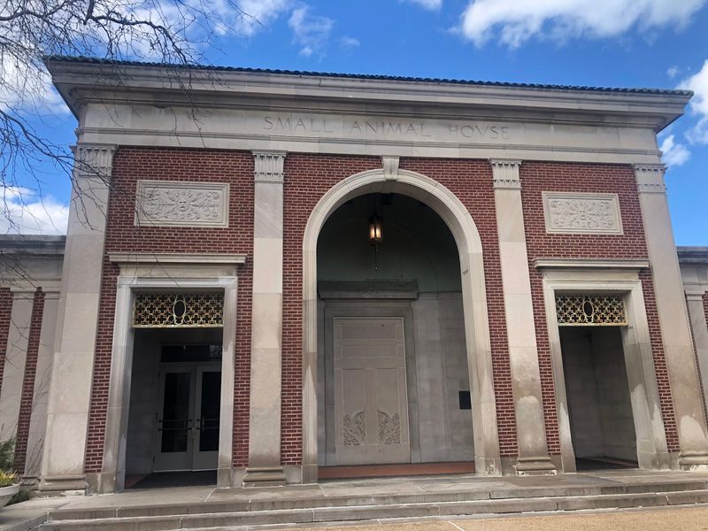 The Reptile House: Surprisingly Beautiful and Worth Every Minute