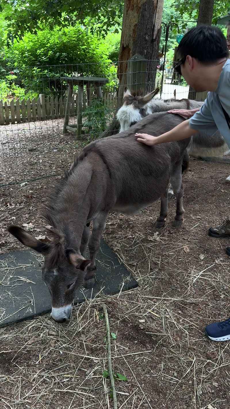 The Rescue Story Behind Every Resident The Rescue Story Behind Every Resident
