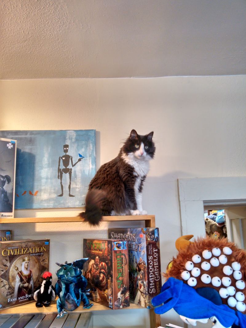 The Resident Cats Who Run the Place