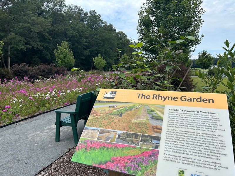 The Rhyne Garden: Where First Impressions Bloom