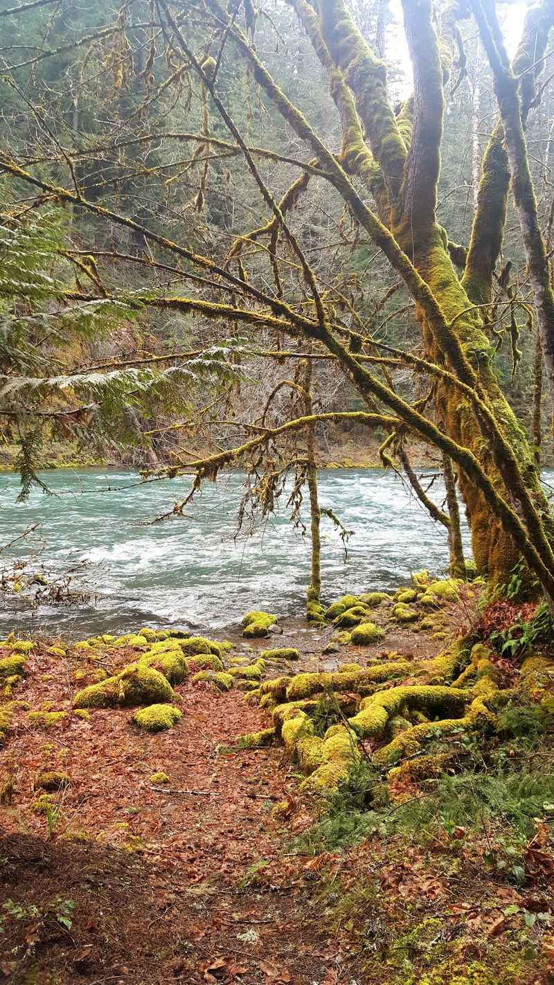 The River That Never Leaves Your Side