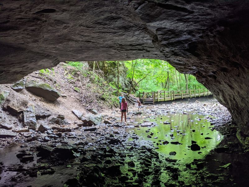 The Rock Bridge Itself: Nature's Most Patient Sculptor The Rock Bridge Itself: Nature's Most Patient Sculptor