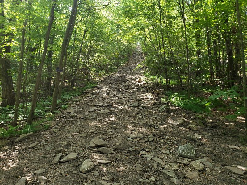 The Rocky Reality: What Kind of Terrain to Expect