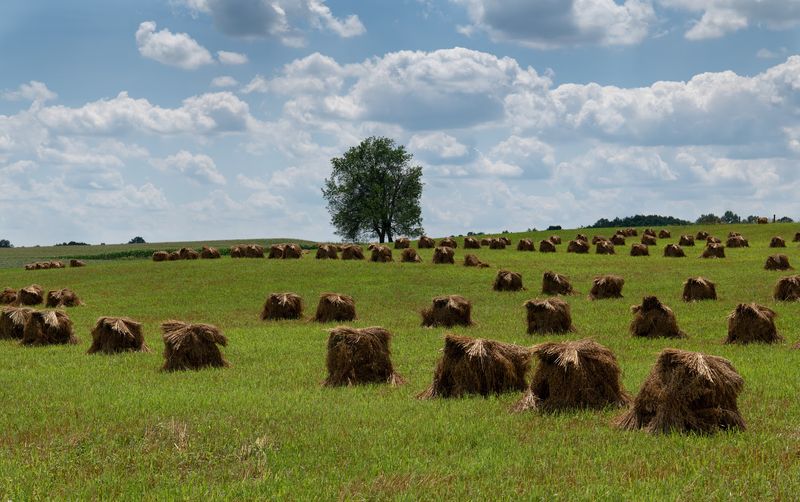 The Rolling Landscape of Holmes County